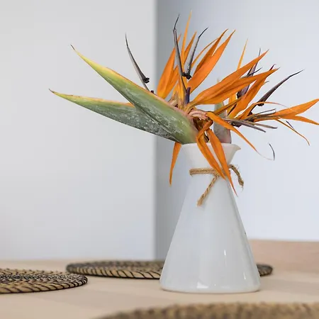 Barca Sky Views Apartamento La Lajita